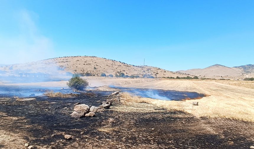 Afyonkarahisar'daki yangında 200 dekar kül oldu