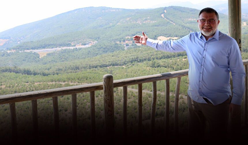 AK Partili Saygılı'dan çarpıcı 'orman' raporu: İzmir'de 114 bin hektar yeşillendirildi