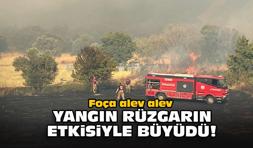 Foça alev alev... Yangın rüzgarın etkisiyle büyüdü!