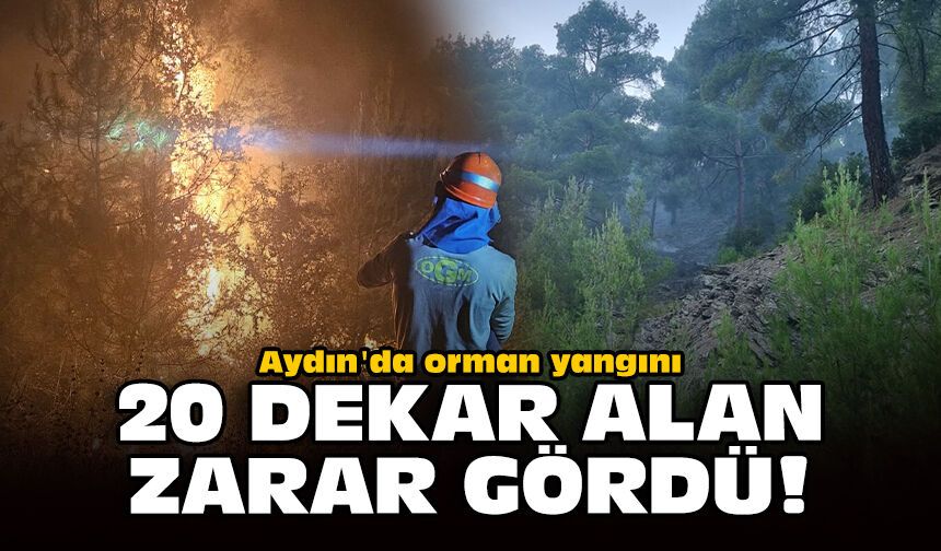 Aydın'da orman yangını: 20 dekar alan zarar gördü