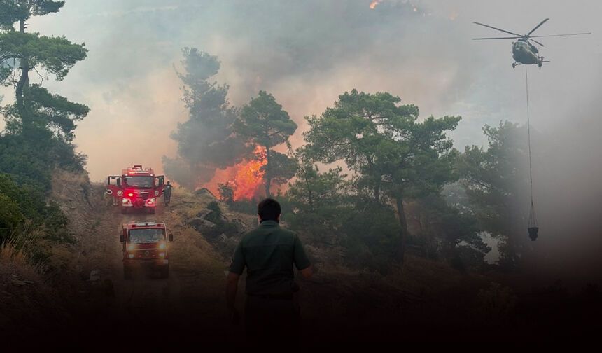 Aydın'daki yangın ikinci gününde: Havadan müdahale yeniden başladı