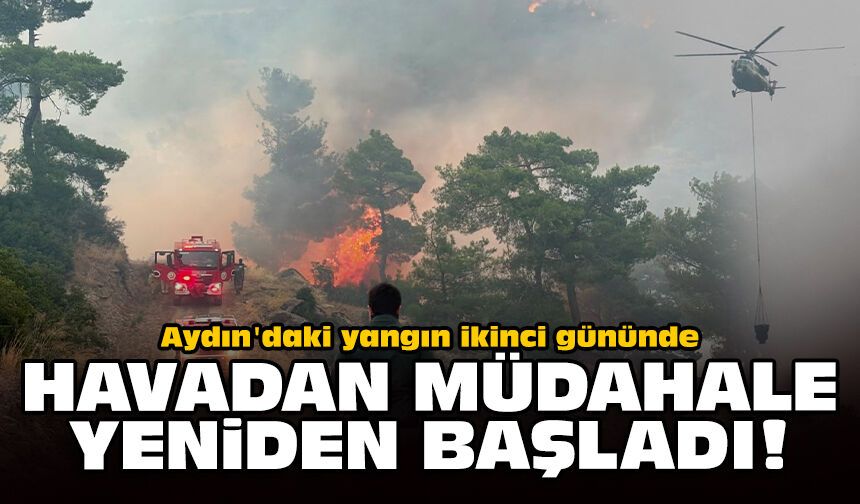 Aydın'daki yangın ikinci gününde: Havadan müdahale yeniden başladı