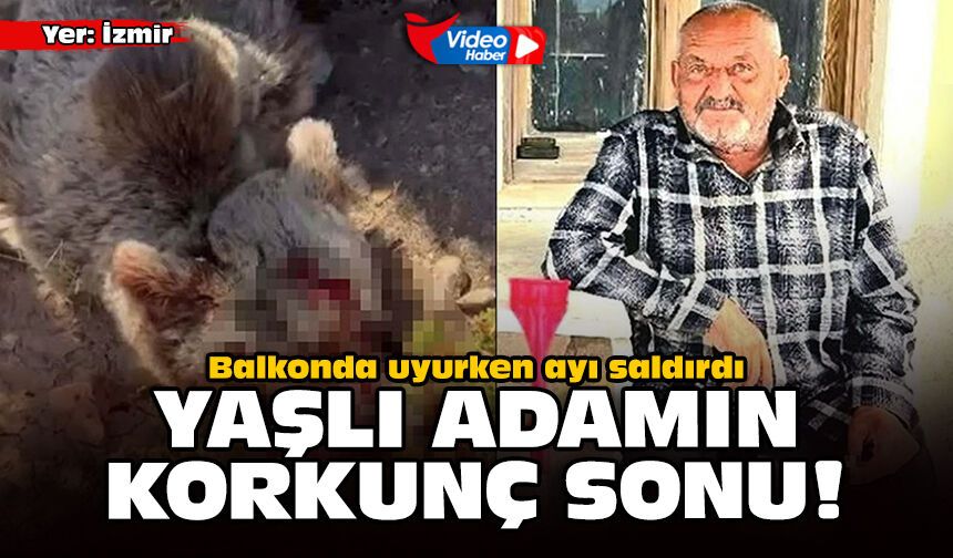 Balkonda uyurken ayı saldırdı: Yaşlı adamın korkunç sonu!