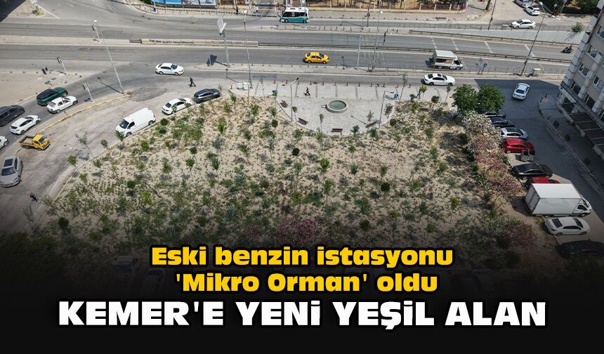 Eski benzin istasyonu 'Mikro Orman' oldu: Kemer'e yeni yeşil alan