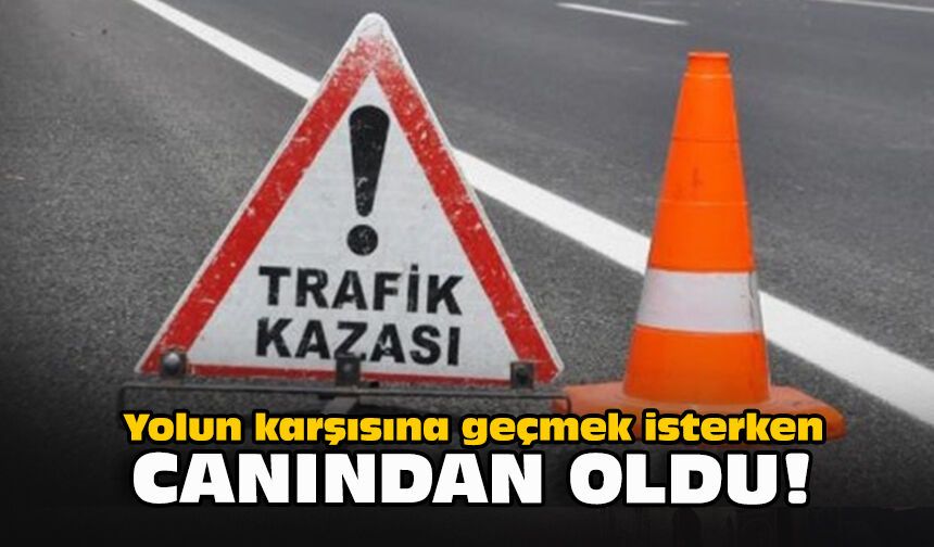 Yolun karşısına geçmek isterken canından oldu!