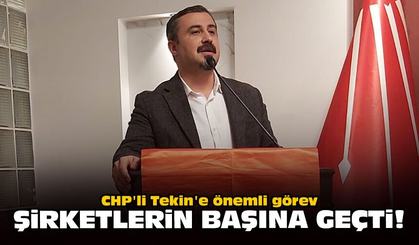CHP'li Tekin'e önemli görev: Şirketlerin başına geçti