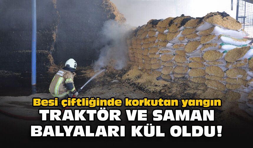 Besi çiftliğinde korkutan yangın... Traktör ve saman balyaları kül oldu!