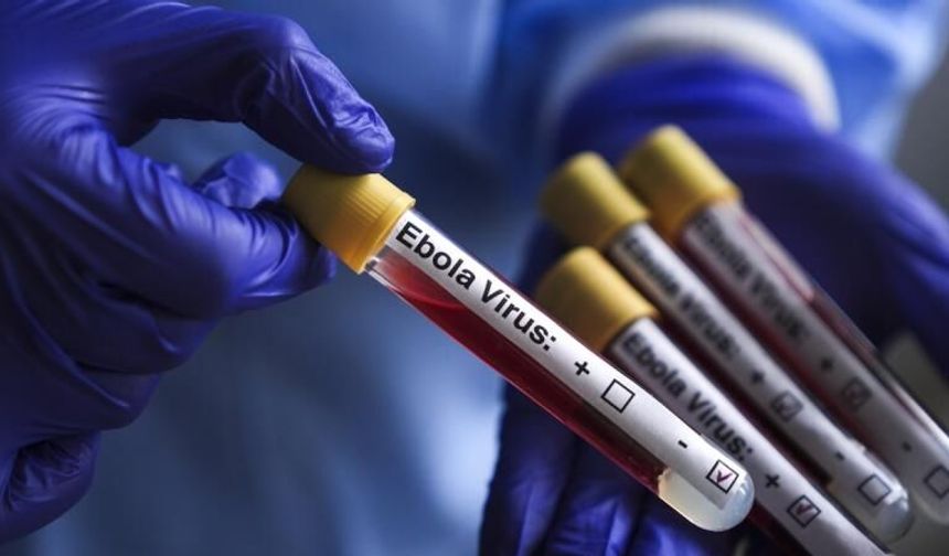 Kongo'da Ebola alarmı! Can kaybı arttı