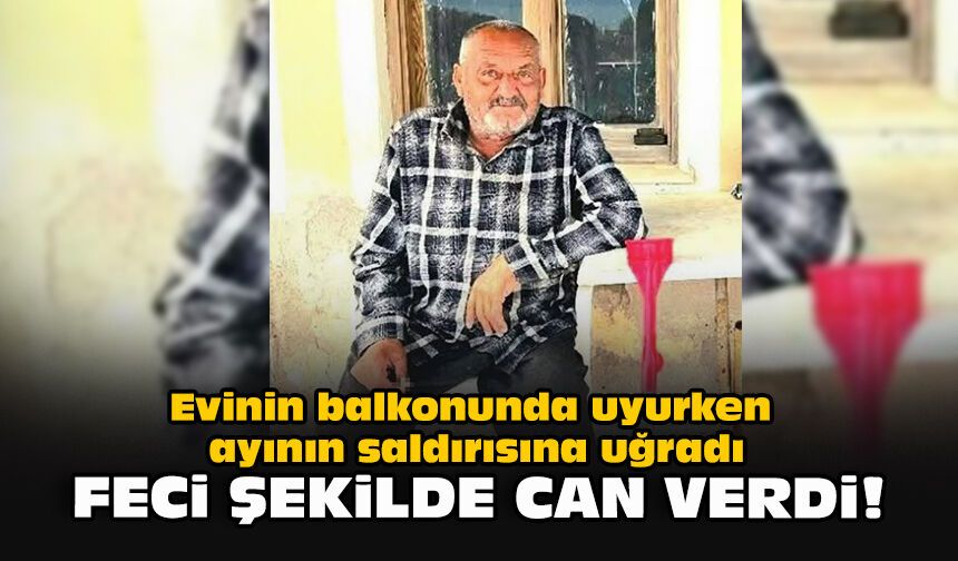 Evinin balkonunda uyurken ayının saldırısına uğradı... Feci şekilde can verdi!