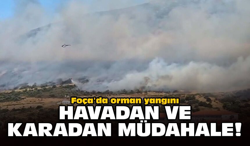 Foça'da orman yangını: Havadan ve karadan müdahale!