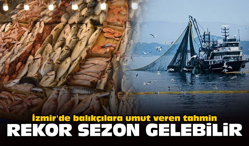 İzmir'de balıkçılara umut veren tahmin: Rekor sezon gelebilir
