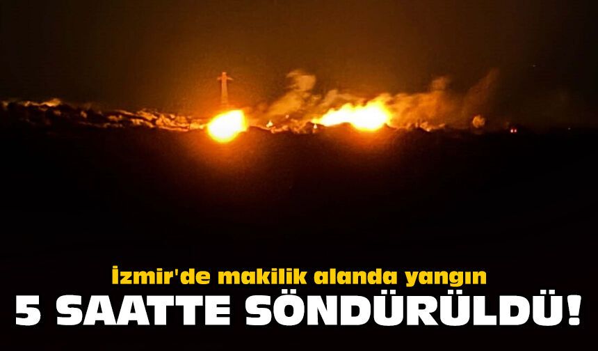 İzmir'de makilik alanda yangın: 5 saatte söndürüldü!