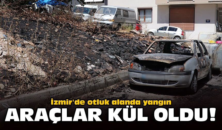 İzmir'de otluk alanda yangın: Araçlar kül oldu!