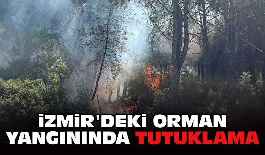 İzmir'deki orman yangınında tutuklama