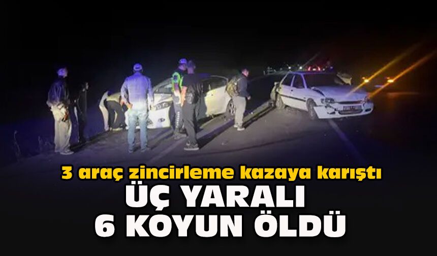 3 araç zincirleme kazaya karıştı... Üç yaralı, 6 koyun öldü