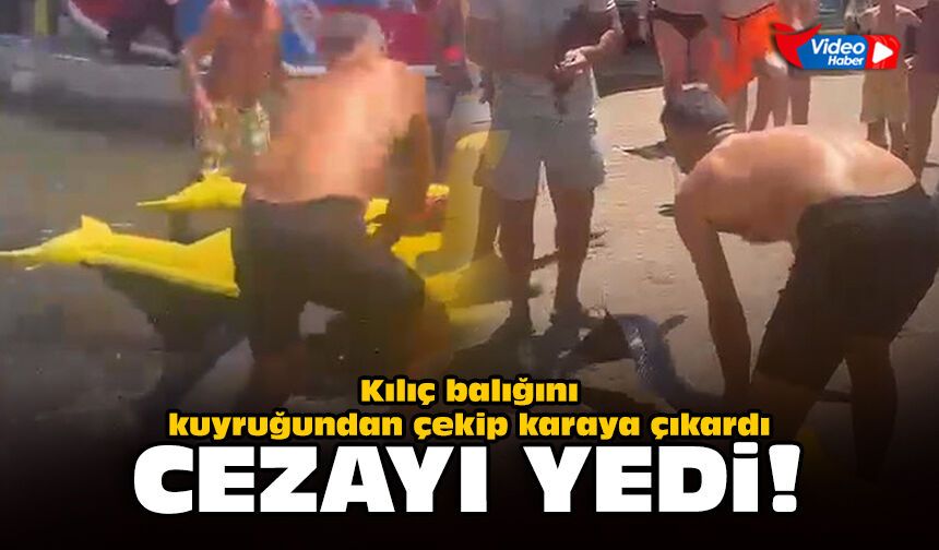 Kılıç balığını kuyruğundan çekip karaya çıkardı cezayı yedi!