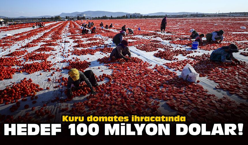 Kuru domates ihracatında hedef 100 milyon dolar!