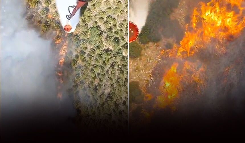 Manisa'da orman yangını: Havadan karadan müdahale!