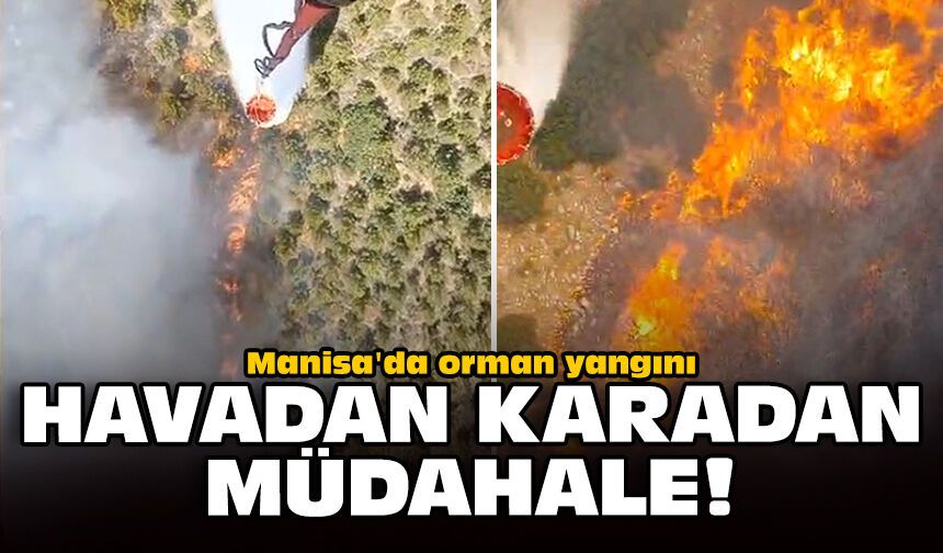 Manisa'da orman yangını: Havadan karadan müdahale!