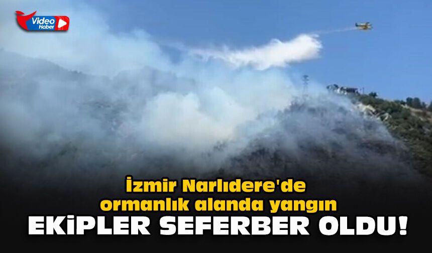 İzmir Narlıdere'de ormanlık alanda yangın... Ekipler seferber oldu!