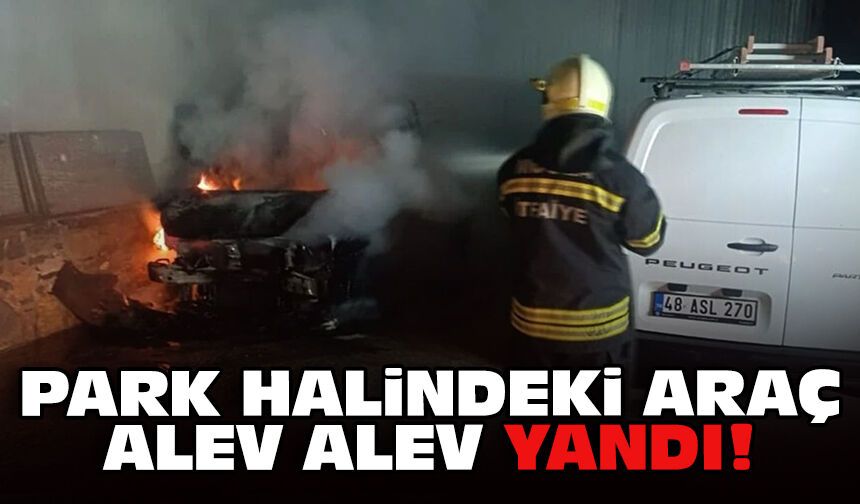 Park halindeki araç alev alev yandı!