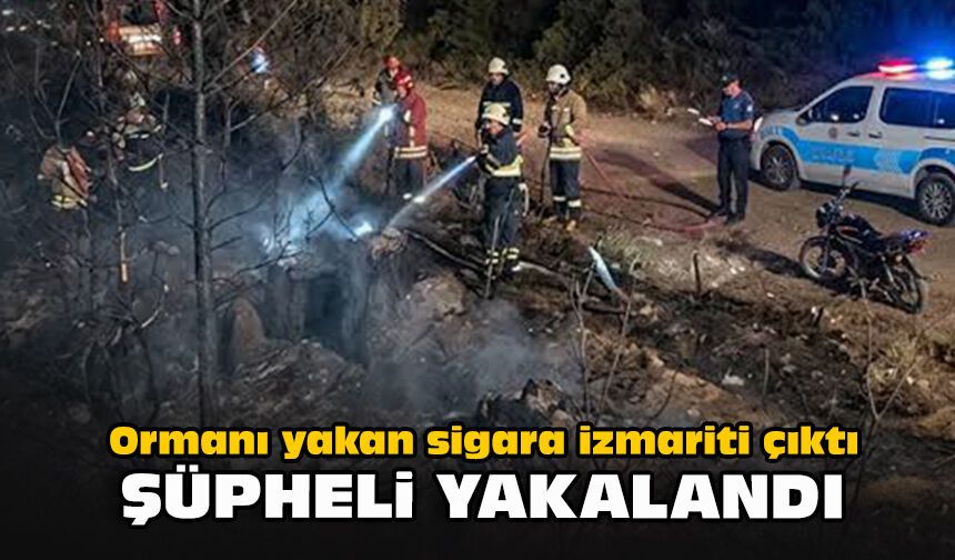 Ormanı yakan sigara izmariti çıktı: Şüpheli yakalandı