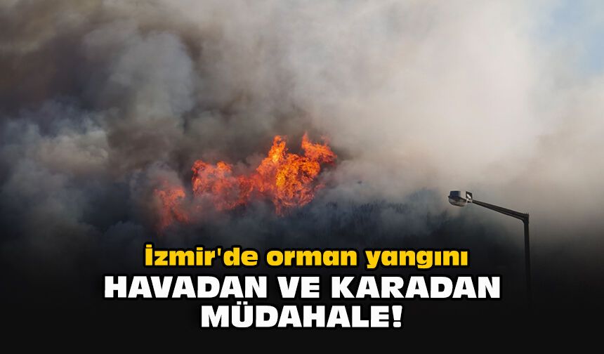 İzmir'de orman yangını... Havadan ve karadan müdahale!