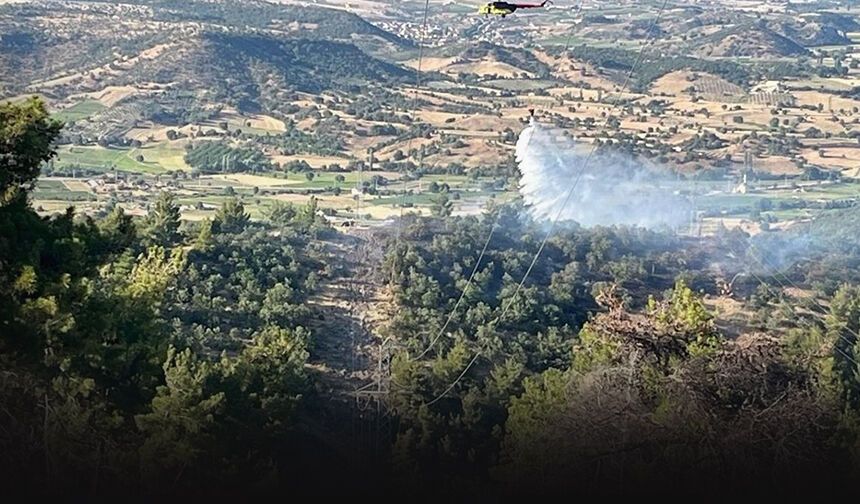 Ormanlık alanda korkutan yangın: 2 hektar alan zarar gördü