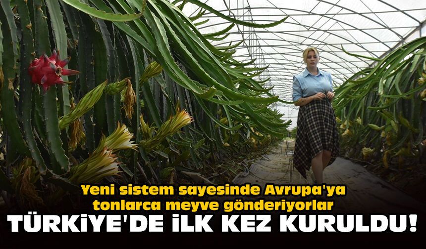 Yeni sistem sayesinde Avrupa'ya tonlarca meyve gönderiyorlar: Türkiye'de ilk kez kuruldu!