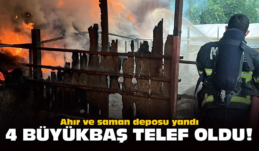 Ahır ve saman deposu yandı: 4 büyükbaş telef oldu!