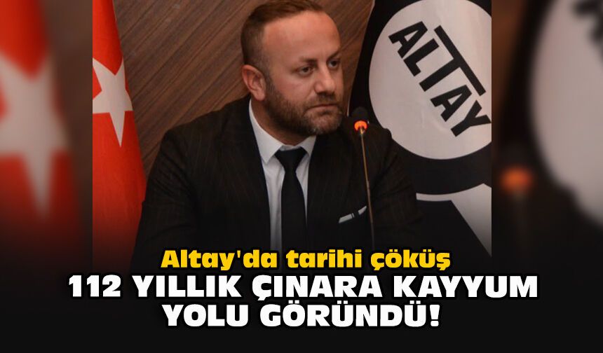 Altay'da tarihi çöküş: 112 yıllık çınara kayyum yolu göründü!