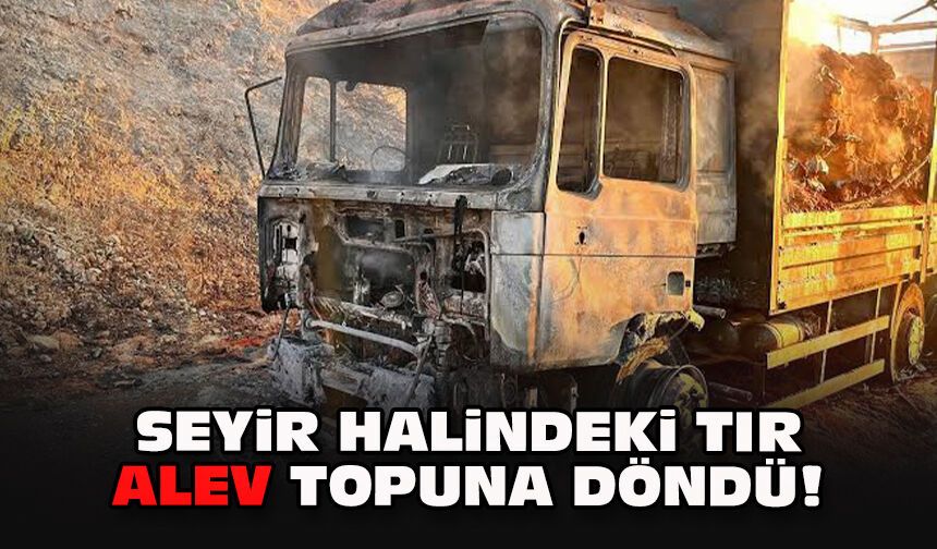 Seyir halindeki TIR alev topuna döndü!