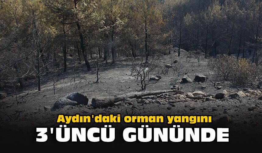 Aydın'daki orman yangını 3'üncü gününde
