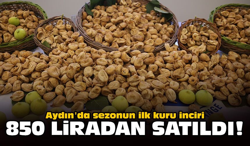 Aydın'da sezonun ilk kuru inciri 850 liradan satıldı