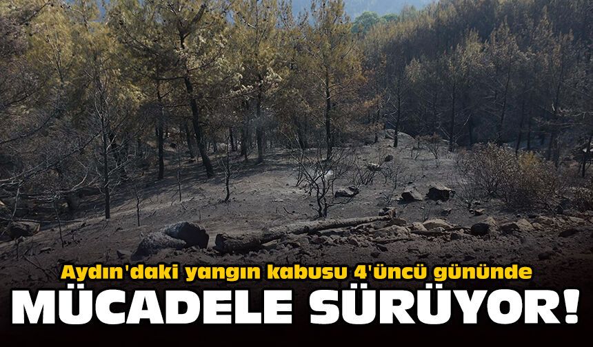 Aydın'daki yangın kabusu 4'üncü gününde: Mücadele sürüyor!