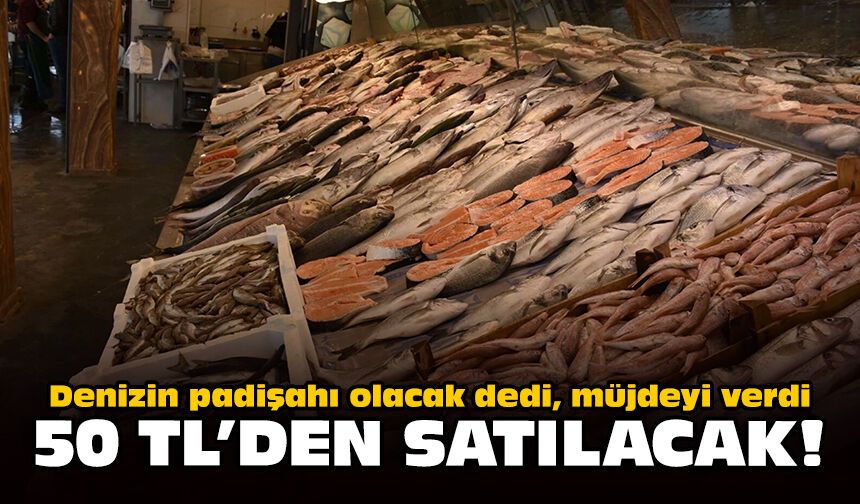 Denizin padişahı olacak dedi, müjdeyi verdi: 50 TL'den satılacak!