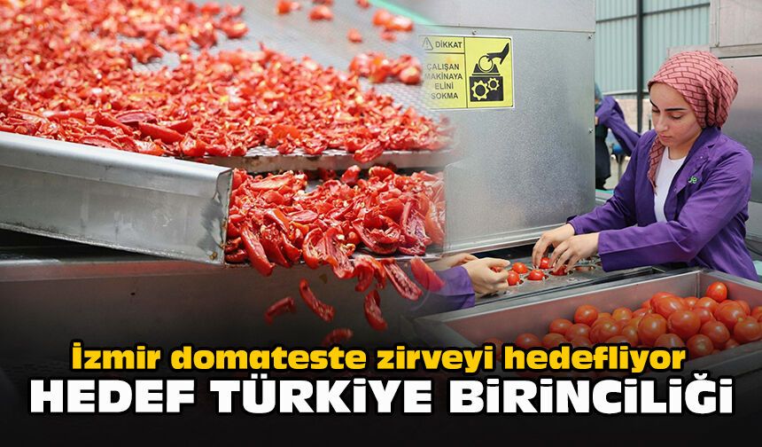 İzmir domateste zirveyi hedefliyor: Hedef Türkiye birinciliği
