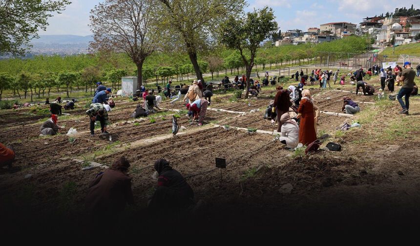 200'den fazla kadın toprakla buluştu: Mahalle Bostanları üretim ve dayanışma merkezi oldu