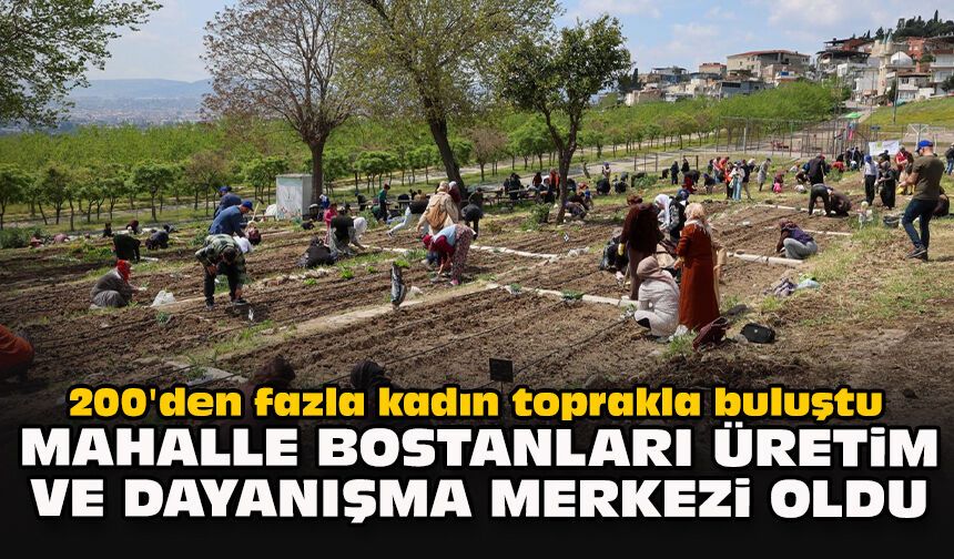 200'den fazla kadın toprakla buluştu: Mahalle Bostanları üretim ve dayanışma merkezi oldu