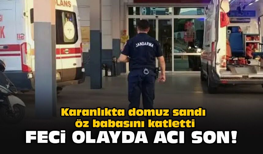 Karanlıkta domuz sandı, öz babasını katletti: Feci olayda acı son!