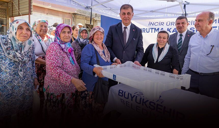 İzmir Büyükşehir Belediyesi’nden üreticiye kerevet desteği