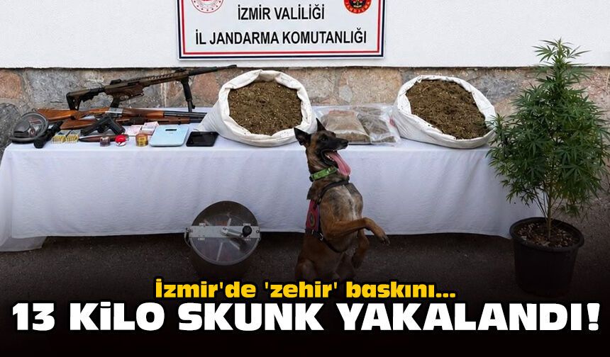 İzmir'de 'zehir' baskını: 13 kilo skunk yakalandı!