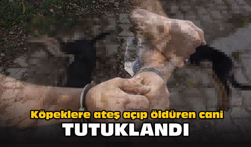 Köpeklere ateş açıp öldüren cani tutuklandı!