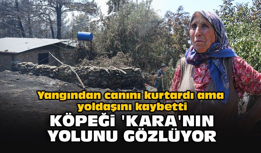 Yangından canını kurtardı ama yoldaşını kaybetti... Köpeği 'Kara'nın yolunu gözlüyor