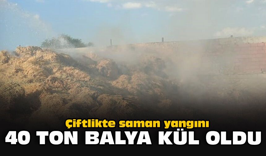 Çiftlikte saman yangını: 40 ton balya kül oldu