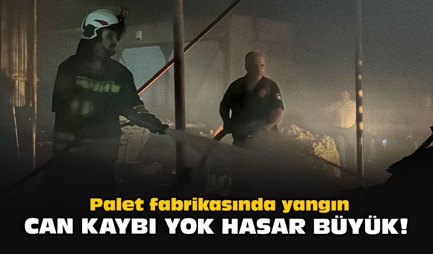 Palet fabrikasında yangın... Can kaybı yok, hasar büyük!