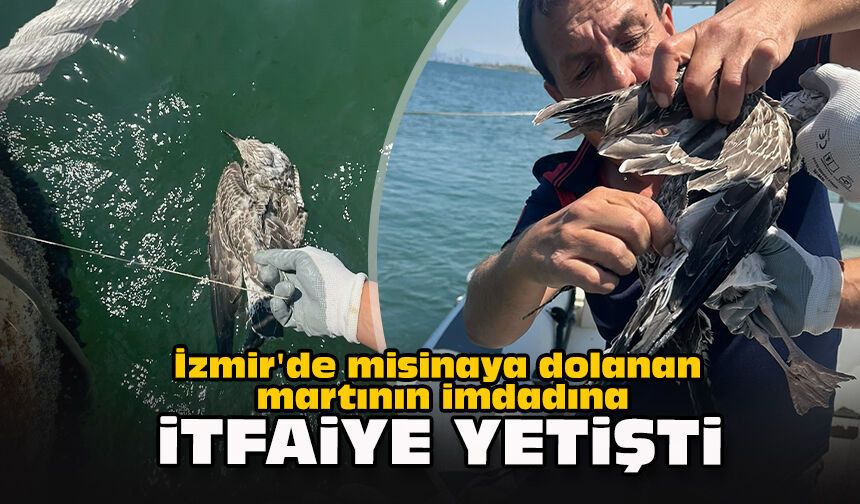 İzmir'de misinaya dolanan martının imdadına itfaiye yetişti