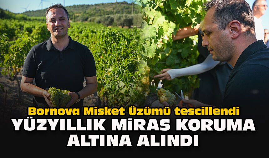 Bornova Misket Üzümü tescillendi: Yüzyıllık miras koruma altına alındı