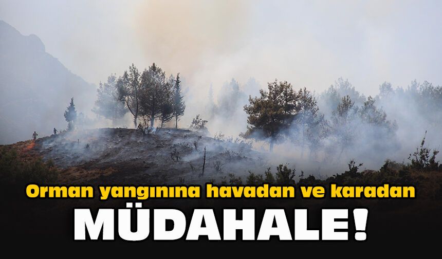 Orman yangınına havadan ve karadan müdahale!