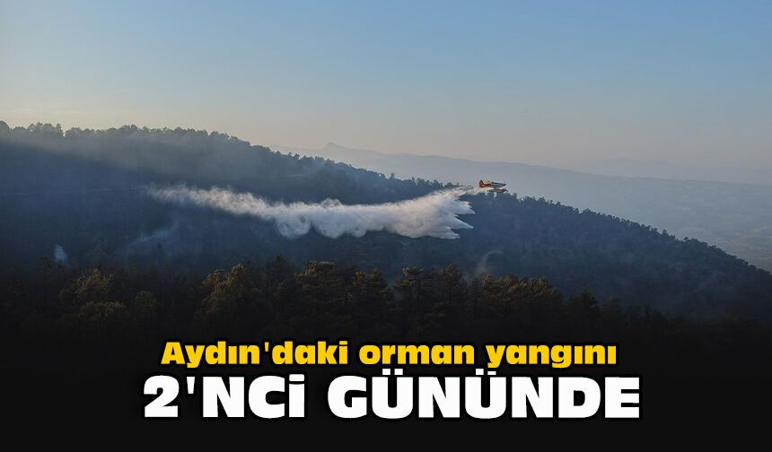Aydın'daki orman yangını 2'nci gününde
